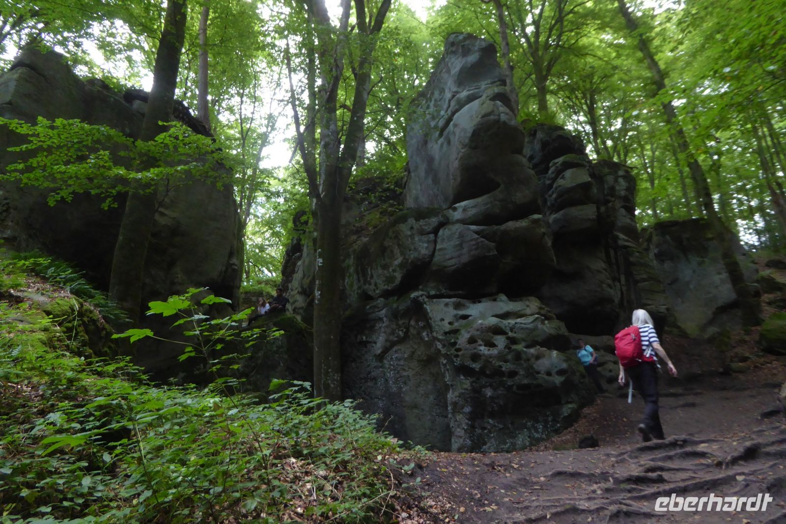 Tag 2 Wanderung im Müllerthal, Luxemburg &ndash; &copy; Gabriele Sauer (Eberhardt TRAVEL)