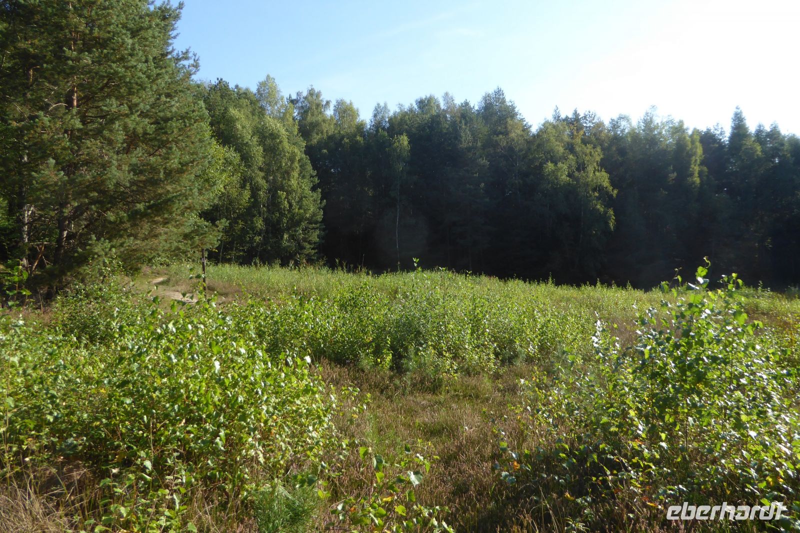 Tag 3 Wanderung zum Litermont  &ndash; &copy; Gabriele Sauer (Eberhardt TRAVEL)