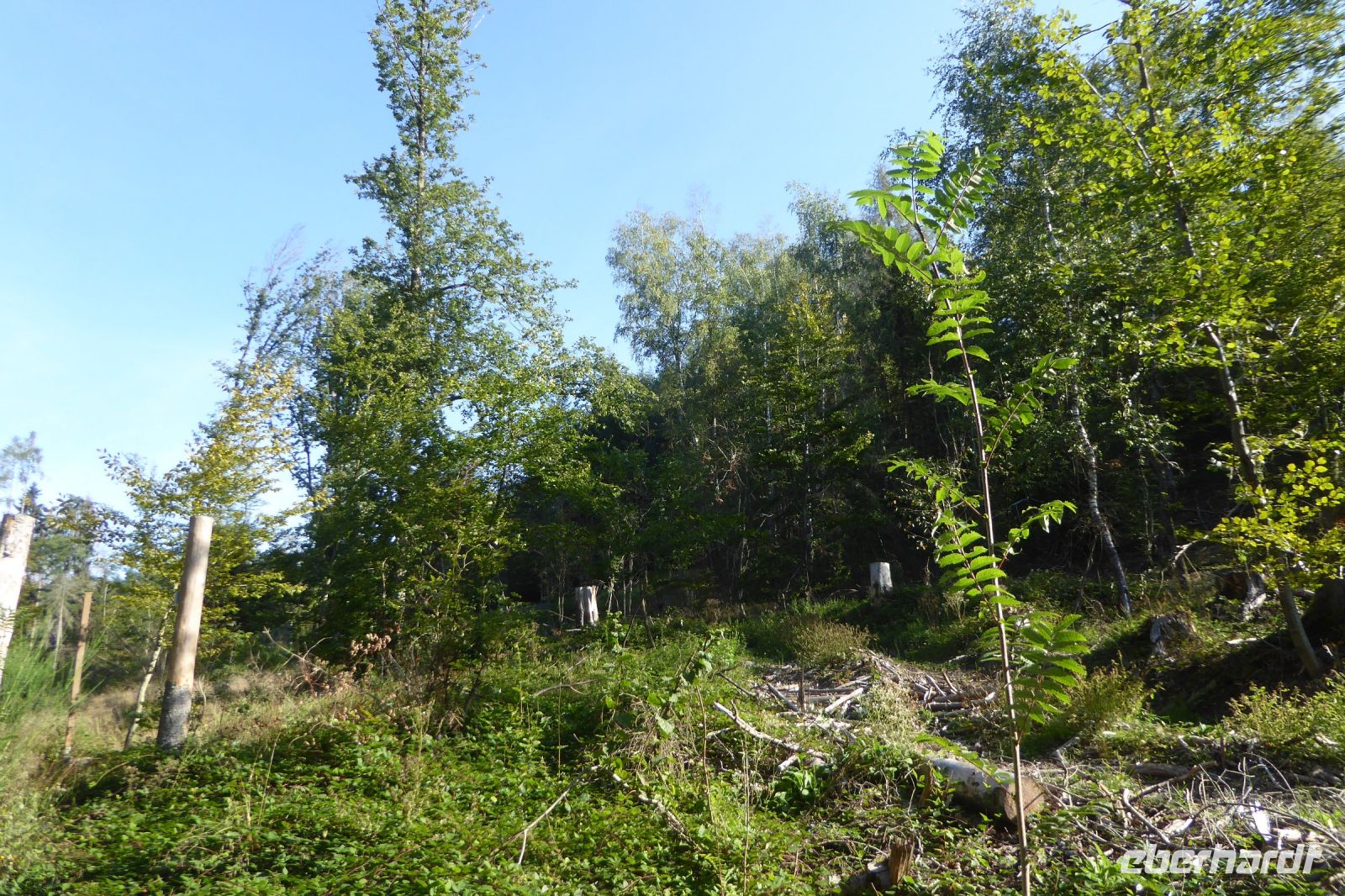 Tag 3 Wanderung zum Litermont  &ndash; &copy; Gabriele Sauer (Eberhardt TRAVEL)