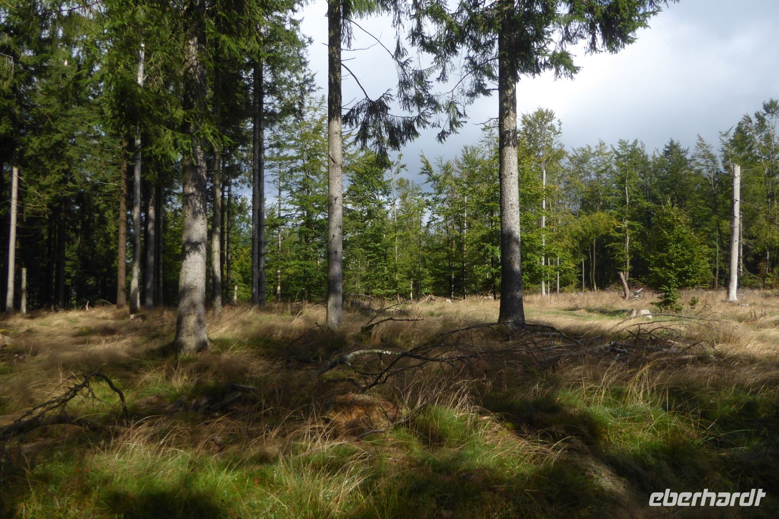 Tag 6 Wanderung am Dollberg  &ndash; &copy; Gabriele Sauer (Eberhardt TRAVEL)
