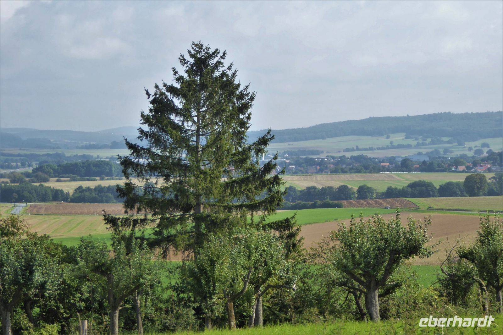 Tag 8 Heimreise   &ndash; &copy; Gabriele Sauer (Eberhardt TRAVEL)
