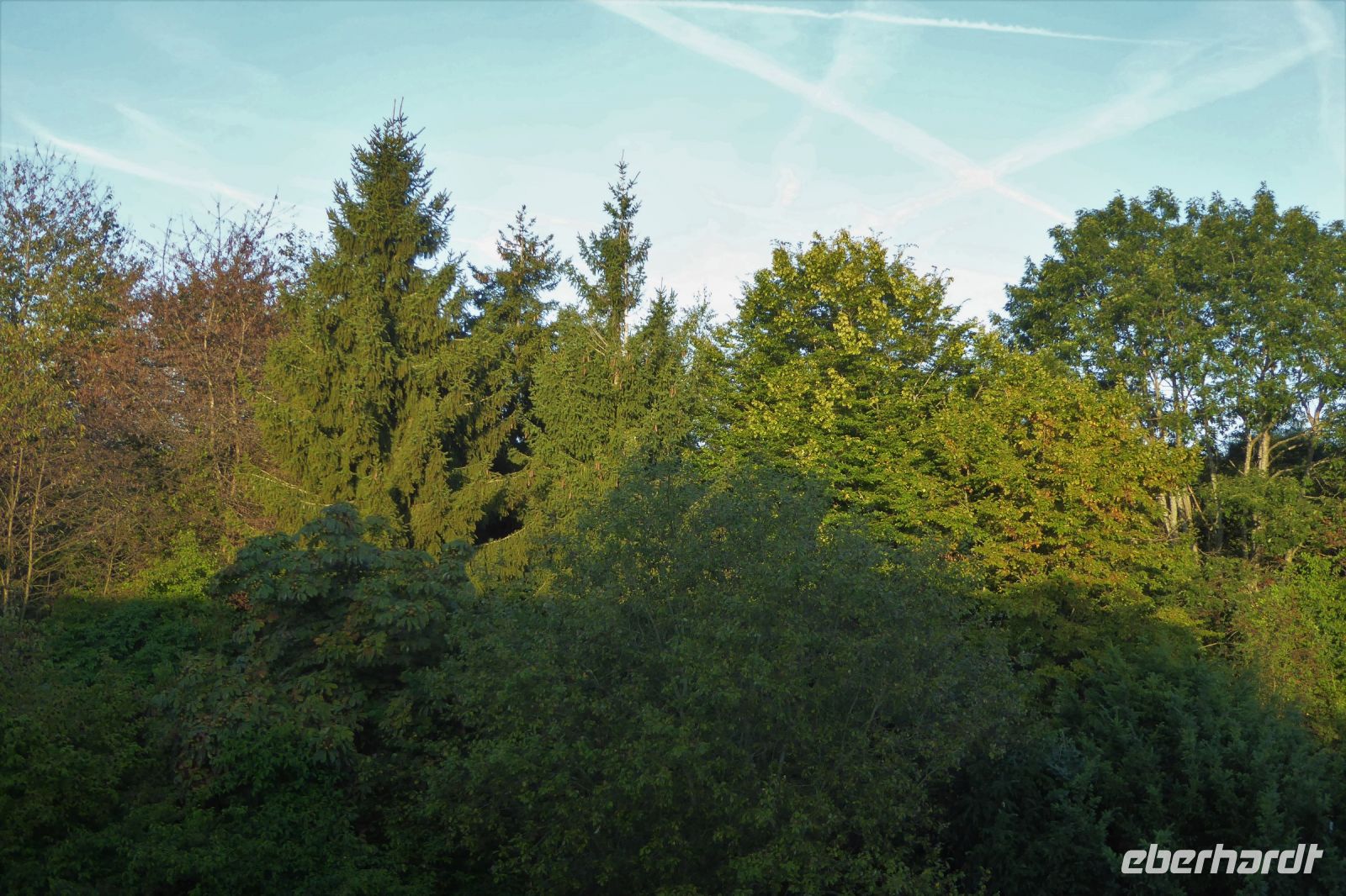 Tag 8 Heimreise   &ndash; &copy; Gabriele Sauer (Eberhardt TRAVEL)