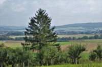 Tag 8 Heimreise   &ndash; &copy; Gabriele Sauer (Eberhardt TRAVEL)