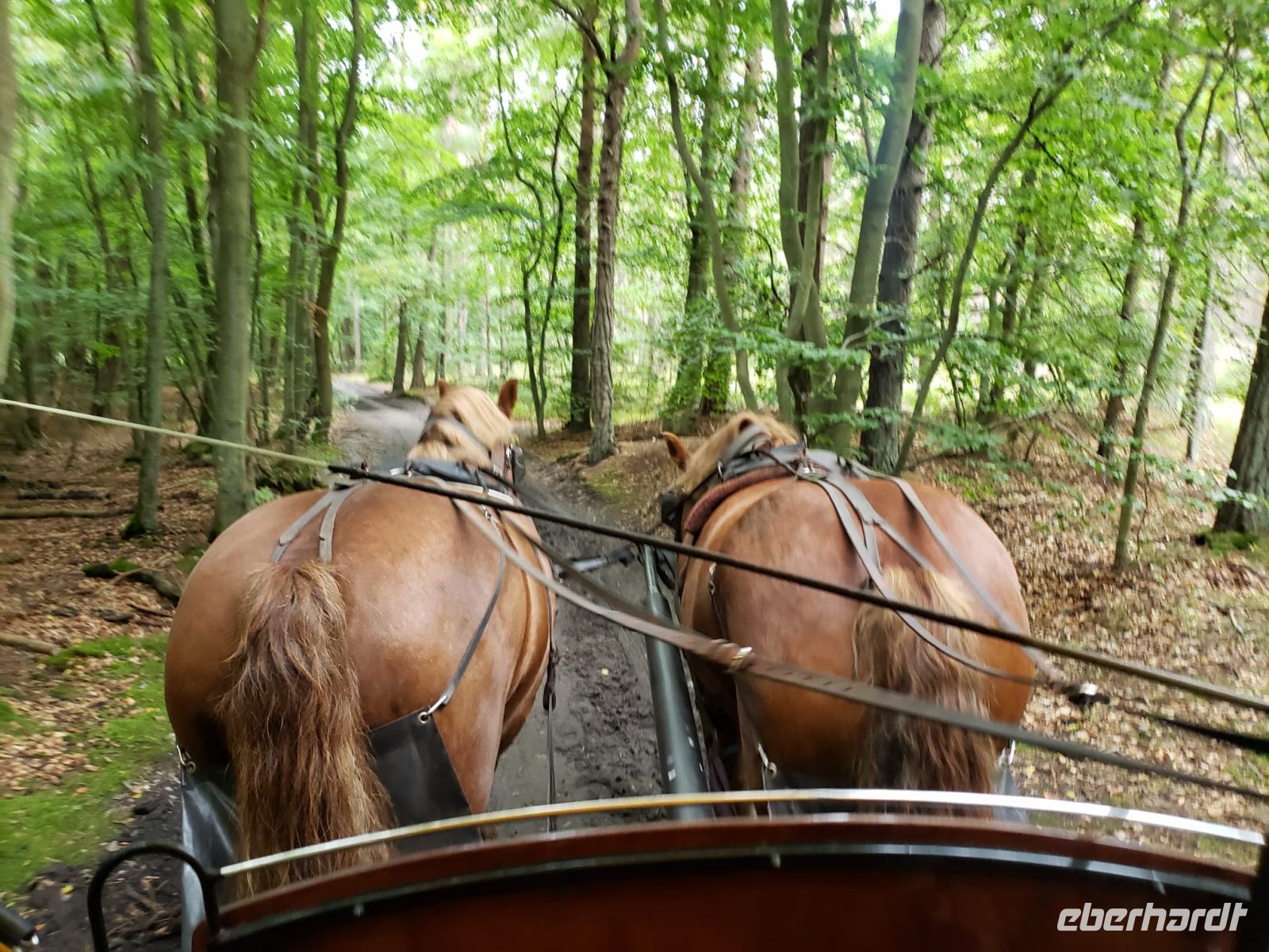 &copy; Petra Hady (Eberhardt TRAVEL)