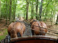 &copy; Petra Hady (Eberhardt TRAVEL)