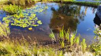 Idylle am Rastplatz &ndash; &copy; Marlies Thrum (Eberhardt TRAVEL)