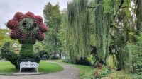  Blumeninsel Mainau &ndash; &copy; Marlies Thrum (Eberhardt TRAVEL)