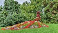  Blumeninsel Mainau &ndash; &copy; Marlies Thrum (Eberhardt TRAVEL)