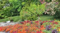  Blumeninsel Mainau &ndash; &copy; Marlies Thrum (Eberhardt TRAVEL)