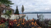 Blumeninsel Mainau &ndash; &copy; Marlies Thrum (Eberhardt TRAVEL)