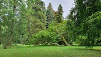  Blumeninsel Mainau &ndash; &copy; Marlies Thrum (Eberhardt TRAVEL)