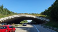 Heimfahrt &ndash; &copy; Marlies Thrum (Eberhardt TRAVEL)