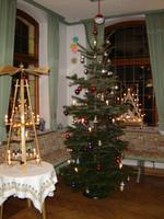 29 unser Weihnachtsbaum &ndash; &copy; Ngoc Anh Nguyen (Eberhardt TRAVEL)