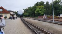 Molli kommt &ndash; &copy; Marlies Thrum (Eberhardt TRAVEL)