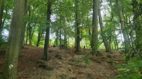 Spaziergang zum Warnow-Durchbruchstal (3) &ndash; &copy; Marlies Thrum (Eberhardt TRAVEL)