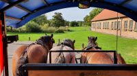 Basedow-dreispännig &ndash; &copy; Marlies Thrum (Eberhardt TRAVEL)
