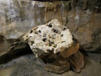 Schillathöhle in Hessisch Oldendorf &ndash; &copy; Gisela Gerlach (Eberhardt TRAVEL)