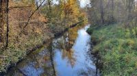 Moorbach  &ndash; &copy; Marlies Thrum (Eberhardt TRAVEL)