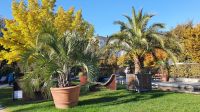 Entdeckungen im Riegerpark &ndash; &copy; Marlies Thrum (Eberhardt TRAVEL)