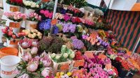 Viktualienmarkt München &ndash; &copy; Marlies Thrum (Eberhardt TRAVEL)