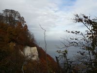 Am Königsstuhl &ndash; &copy; Heike Meinhold (Eberhardt TRAVEL)