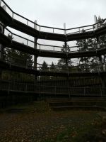 Baumwipfelpfad &ndash; &copy; Heike Meinhold (Eberhardt TRAVEL)