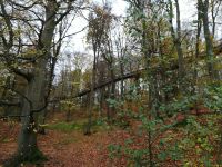Baumwipfelpfad &ndash; &copy; Heike Meinhold (Eberhardt TRAVEL)