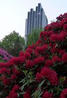 Radisson Blue &ndash; &copy; Steffi Zimmermann (Eberhardt TRAVEL)