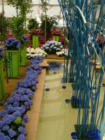 Blumenhalle in Blau
