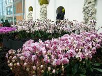 Floriade 2012 in Venlo &ndash; &copy; Steffen Mucke (Eberhardt TRAVEL)