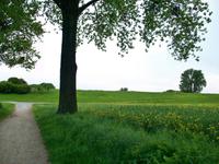 Monheim am Rhein &ndash; &copy; Steffen Mucke (Eberhardt TRAVEL)
