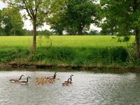 Schifffahrt auf der Maas &ndash; &copy; Steffen Mucke (Eberhardt TRAVEL)
