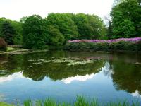 Wasserschloss Anholt, Park &ndash; &copy; Steffen Mucke (Eberhardt TRAVEL)
