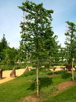 Floriade 2012 in Venlo &ndash; &copy; Steffen Mucke (Eberhardt TRAVEL)