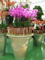 Floriade 2012 in Venlo &ndash; &copy; Steffen Mucke (Eberhardt TRAVEL)