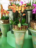 Floriade 2012 in Venlo &ndash; &copy; Steffen Mucke (Eberhardt TRAVEL)
