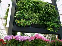 Floriade 2012 in Venlo &ndash; &copy; Steffen Mucke (Eberhardt TRAVEL)
