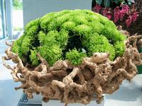 Floriade 2012 in Venlo &ndash; &copy; Steffen Mucke (Eberhardt TRAVEL)