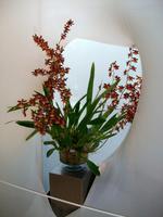Floriade 2012 in Venlo &ndash; &copy; Steffen Mucke (Eberhardt TRAVEL)