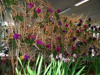Floriade 2012 in Venlo &ndash; &copy; Steffen Mucke (Eberhardt TRAVEL)