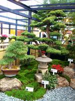 Floriade 2012 in Venlo &ndash; &copy; Steffen Mucke (Eberhardt TRAVEL)