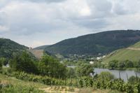 an der Mosel &ndash; &copy; Gisela Preuß (Eberhardt TRAVEL)