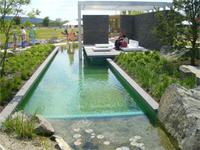 Schwimmteich