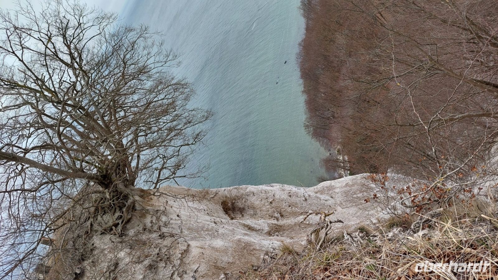 Kreidefelsen &ndash; &copy; Uta Hertel (Eberhardt TRAVEL)