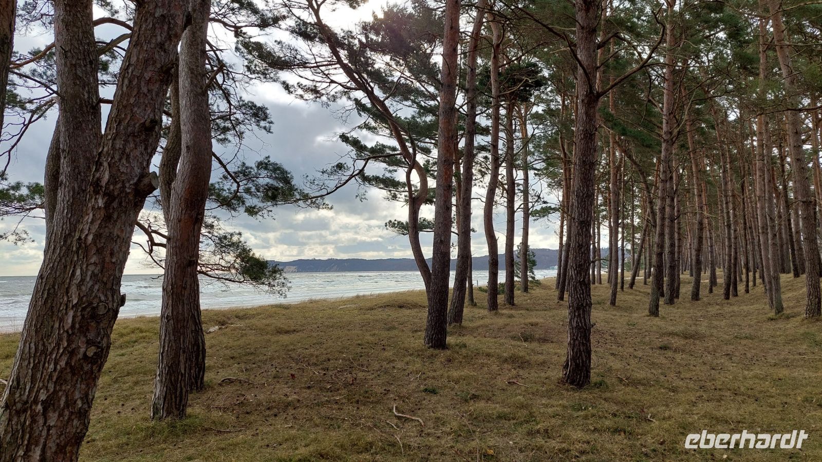 Dünenwald &ndash; &copy; Uta Hertel (Eberhardt TRAVEL)