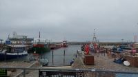 Fischerboote im Hafen Sassnitz