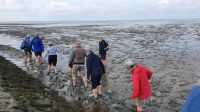 20220520 100049Wattwanderung &ndash; &copy; Marlies Thrum (Eberhardt TRAVEL)