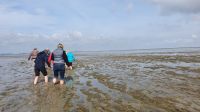 20220520 102013 Wattwanderung mit Karo &ndash; &copy; Marlies Thrum (Eberhardt TRAVEL)