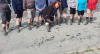 20220520_114102 Nach dem Watt....jpg &ndash; &copy; Marlies Thrum (Eberhardt TRAVEL)