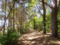 2.4 &ndash; &copy; Petra Hady (Eberhardt TRAVEL)